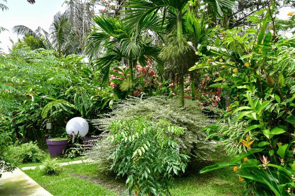 Redoute Paradise Fort-de-France Bagian luar foto